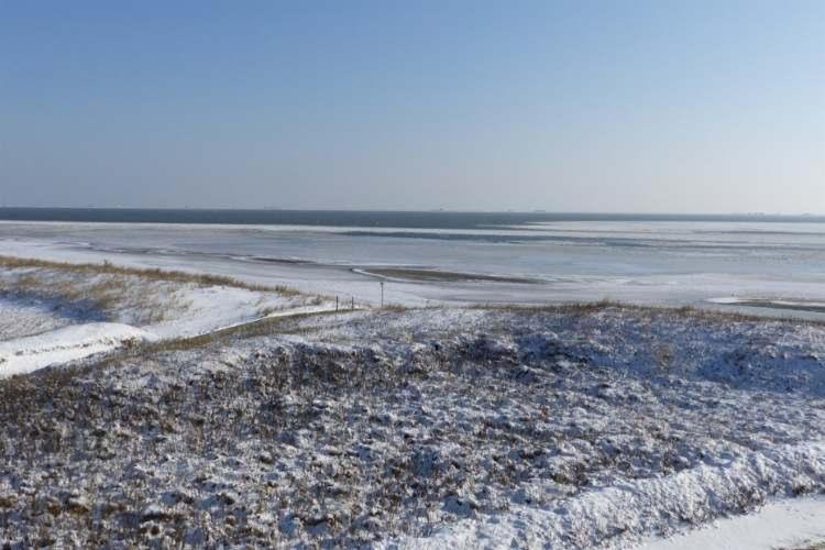 Ferienwohnung null Langeneß Whg 21 Südblick Wyk auf Föhr Exterior foto